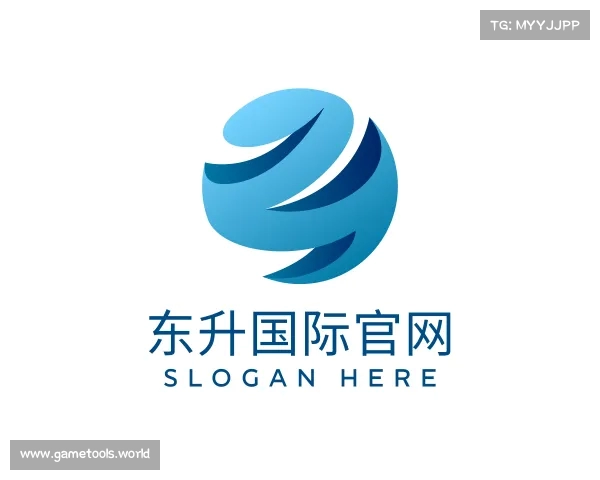 解读东升国际官网